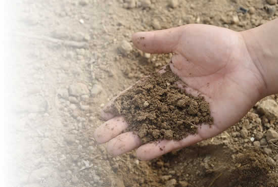 Soil Testing Services